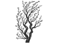 Wandtattoo Gewundener Baum Motivansicht