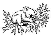 Wandtattoo Süßer Koala Motivansicht