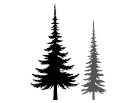 Wandtattoo Tannenzeit Motivansicht