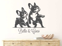 Frenchies mit Wunschnamen