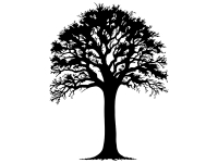 Wandtattoo Kraftvoller Baum Motivansicht