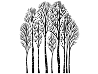 Wandtattoo Moderner Birkenwald Motivansicht