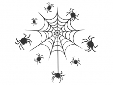 Wandtattoo Spinnennetz Motivansicht